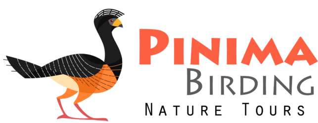 Pinima Birding