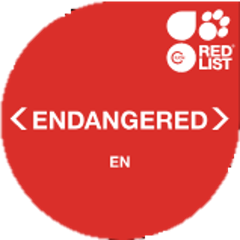 Endangered