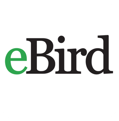 eBird icon